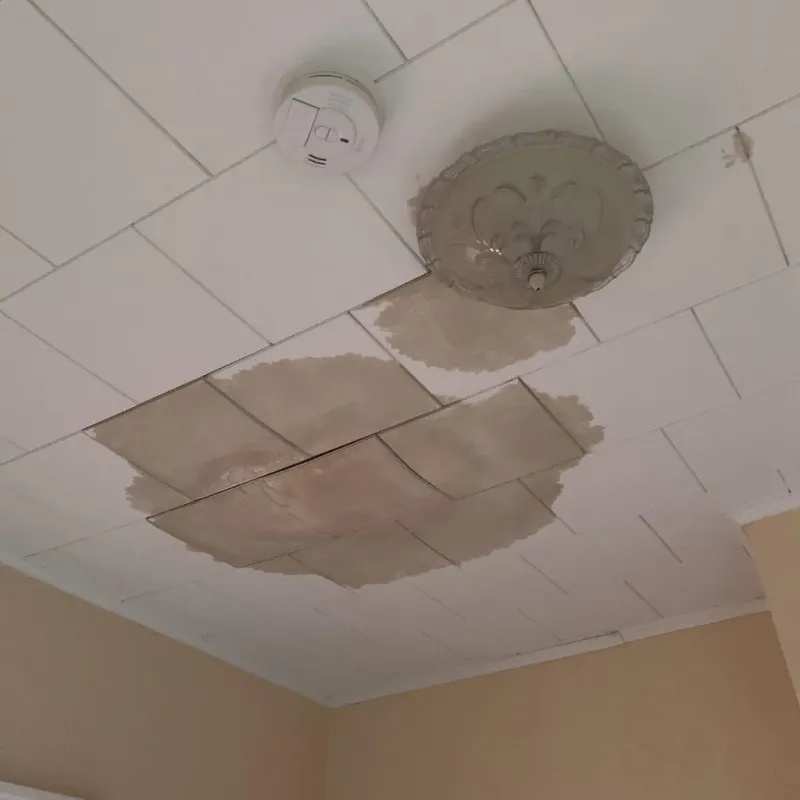 Ceiling Water Damage Repair in Adams, MA